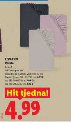 Plahta