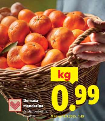 Domaća mandarina