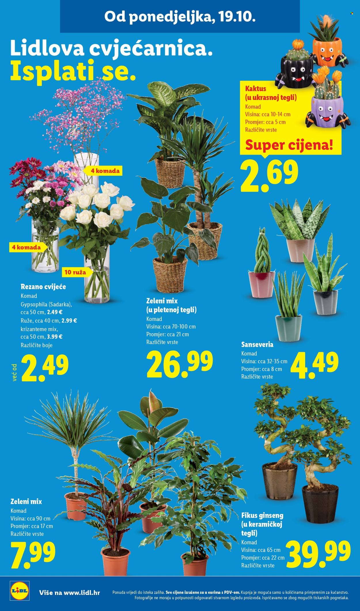 Lidl katalog - 19.10.2026. - 25.10.2026. Stranica 52