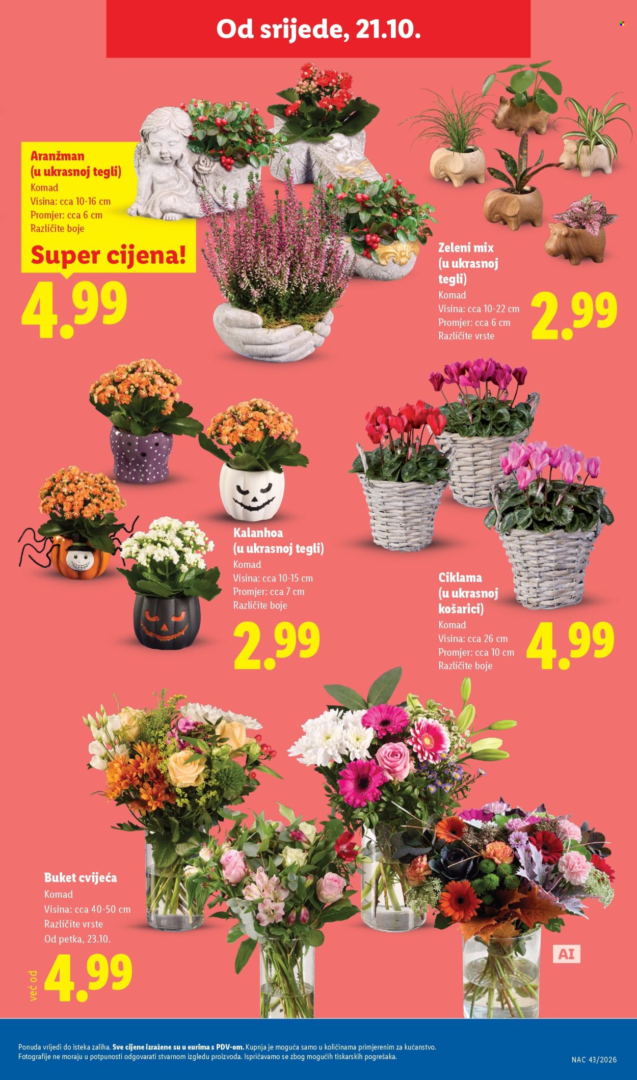 Lidl katalog - 19.10.2026. - 25.10.2026. Stranica 53