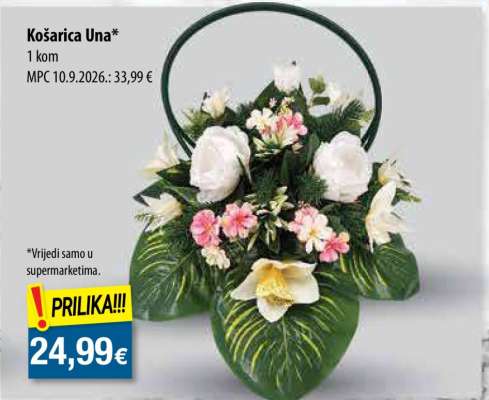 KOŠARICA UNA