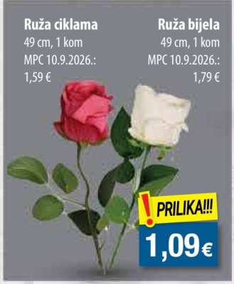 Ruže