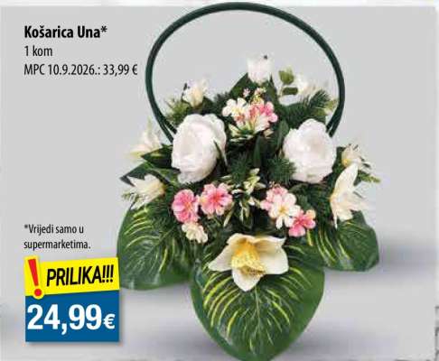 KOŠARICA UNA